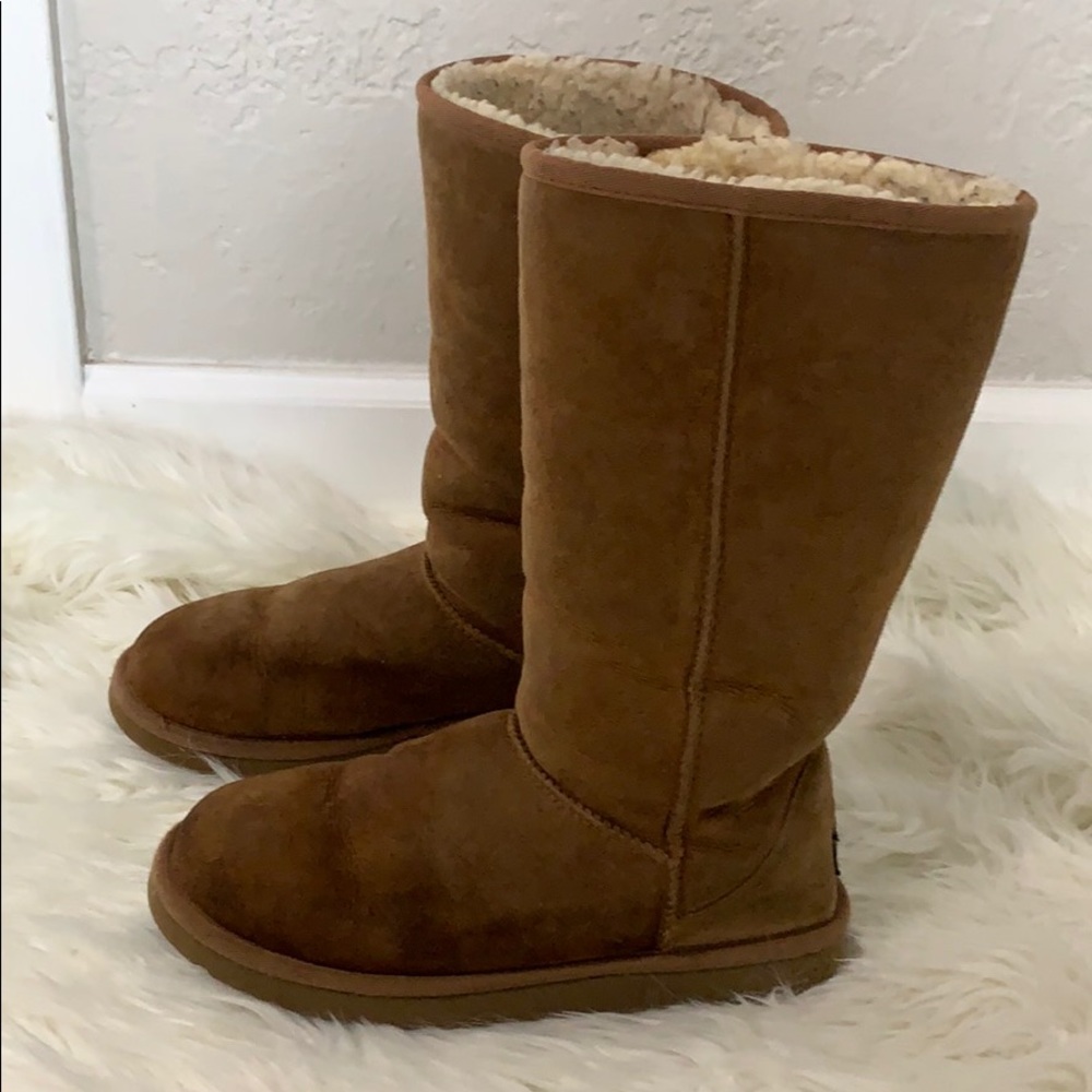 Tall chestnut uggs size 7